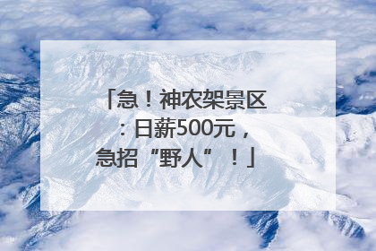 急！神农架景区：日薪500元，急招“野人”！