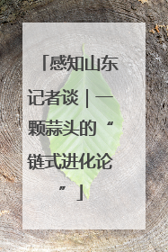 感知山东记者谈｜一颗蒜头的“链式进化论”