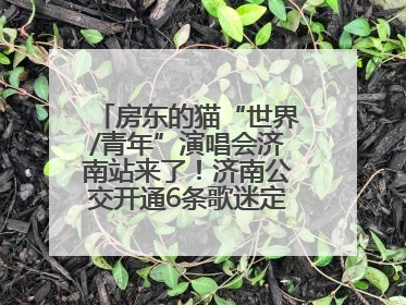 房东的猫“世界/青年”演唱会济南站来了！济南公交开通6条歌迷定制专线