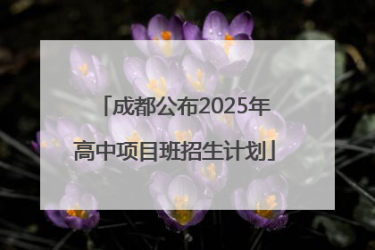 成都公布2025年高中项目班招生计划