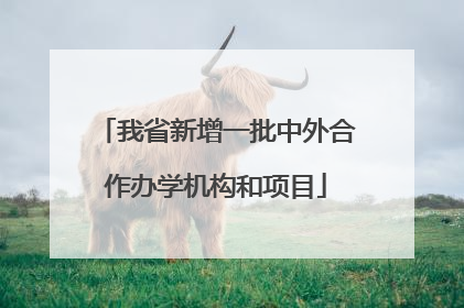 我省新增一批中外合作办学机构和项目