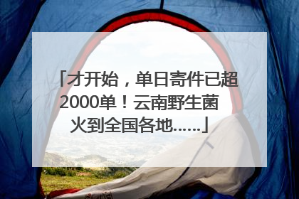 才开始，单日寄件已超2000单！云南野生菌火到全国各地……