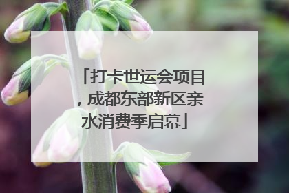 打卡世运会项目，成都东部新区亲水消费季启幕