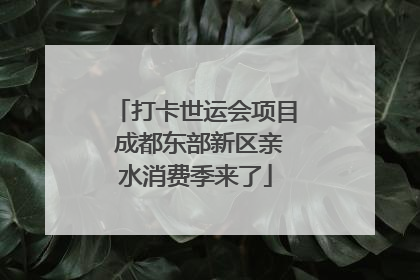 打卡世运会项目 成都东部新区亲水消费季来了