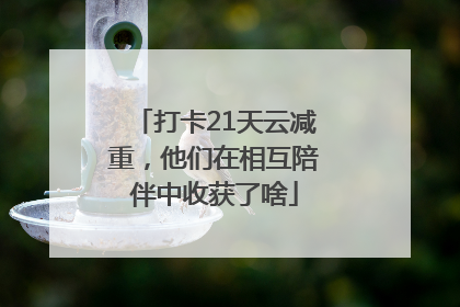 打卡21天云减重，他们在相互陪伴中收获了啥