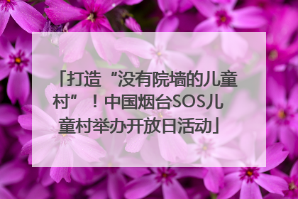 打造“没有院墙的儿童村”！中国烟台SOS儿童村举办开放日活动