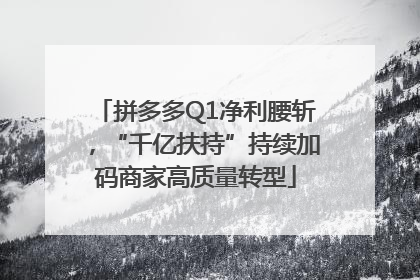 拼多多Q1净利腰斩，“千亿扶持”持续加码商家高质量转型