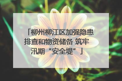 柳州柳江区加强隐患排查和物资储备 筑牢汛期“安全堤”