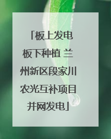 板上发电 板下种植 兰州新区段家川农光互补项目并网发电
