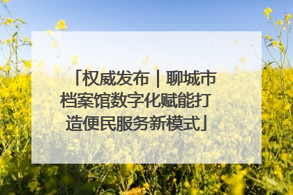 权威发布｜聊城市档案馆数字化赋能打造便民服务新模式