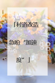 村道改造急盼“加速度”