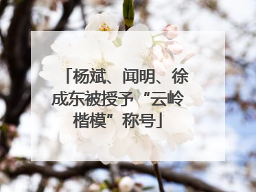 杨斌、闻明、徐成东被授予“云岭楷模”称号