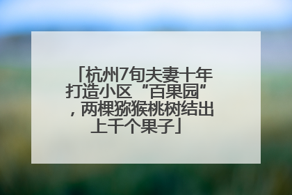 杭州7旬夫妻十年打造小区“百果园”，两棵猕猴桃树结出上千个果子