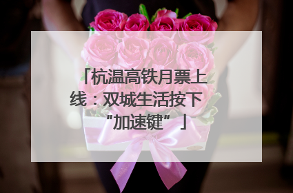 杭温高铁月票上线：双城生活按下“加速键”
