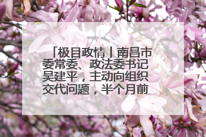 极目政情丨南昌市委常委、政法委书记吴建平，主动向组织交代问题，半个月前还在出席会议