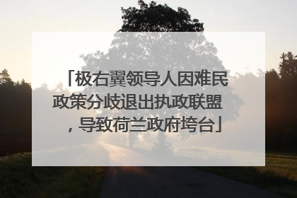 极右翼领导人因难民政策分歧退出执政联盟，导致荷兰政府垮台