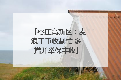 枣庄高新区：麦浪千重收割忙 多措并举保丰收