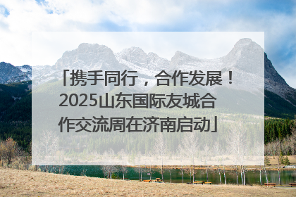 携手同行，合作发展！2025山东国际友城合作交流周在济南启动