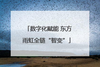 数字化赋能 东方雨虹全链“智变”