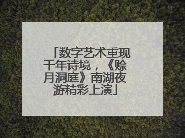 数字艺术重现千年诗境，《赊月洞庭》南湖夜游精彩上演