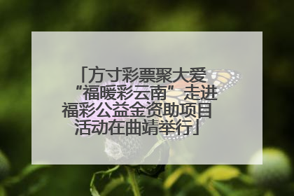 方寸彩票聚大爱 “福暖彩云南”走进福彩公益金资助项目活动在曲靖举行