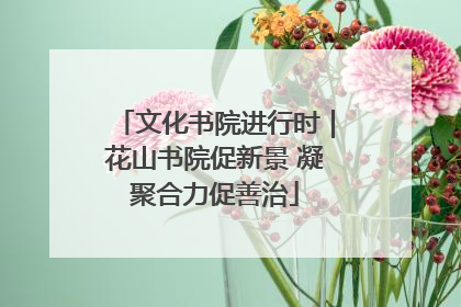 文化书院进行时｜花山书院促新景 凝聚合力促善治