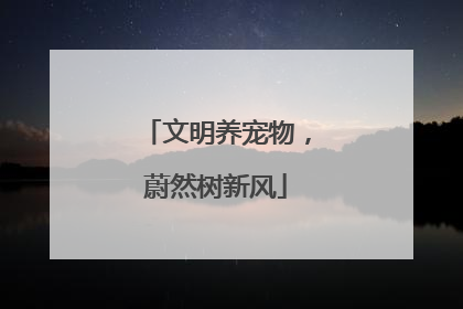 文明养宠物，蔚然树新风