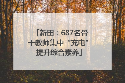 新田：687名骨干教师集中“充电” 提升综合素养