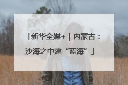 新华全媒+｜内蒙古：沙海之中建“蓝海”