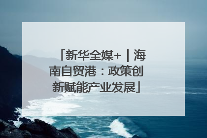新华全媒+｜海南自贸港：政策创新赋能产业发展