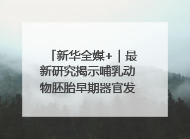 新华全媒+｜最新研究揭示哺乳动物胚胎早期器官发育“密码”