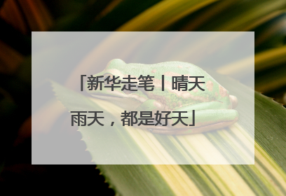 新华走笔丨晴天雨天，都是好天
