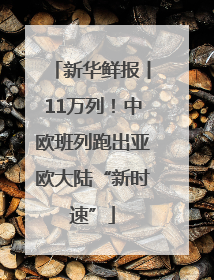 新华鲜报丨11万列！中欧班列跑出亚欧大陆“新时速”