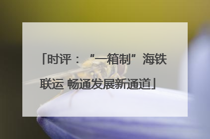 时评：“一箱制”海铁联运 畅通发展新通道