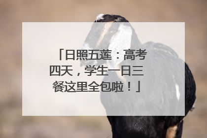 日照五莲：高考四天，学生一日三餐这里全包啦！