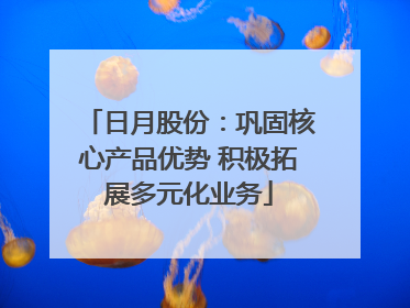 日月股份：巩固核心产品优势 积极拓展多元化业务