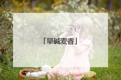 旱碱麦香