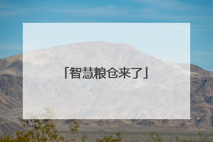 智慧粮仓来了