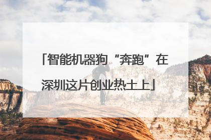 智能机器狗“奔跑”在深圳这片创业热土上