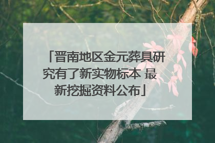 晋南地区金元葬具研究有了新实物标本 最新挖掘资料公布