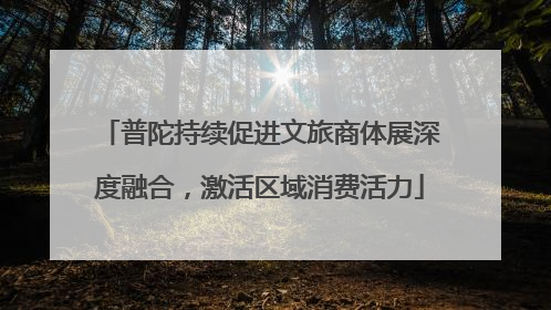 普陀持续促进文旅商体展深度融合，激活区域消费活力