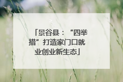 景谷县：“四举措”打造家门口就业创业新生态