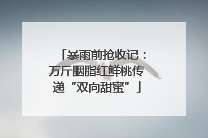 暴雨前抢收记：万斤胭脂红鲜桃传递“双向甜蜜”