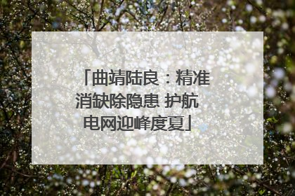 曲靖陆良：精准消缺除隐患 护航电网迎峰度夏
