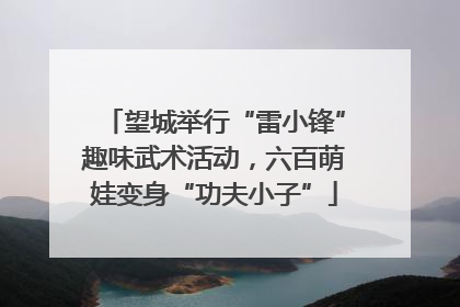望城举行“雷小锋”趣味武术活动，六百萌娃变身“功夫小子”