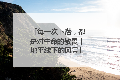每一次下潜，都是对生命的敬畏｜地平线下的风景