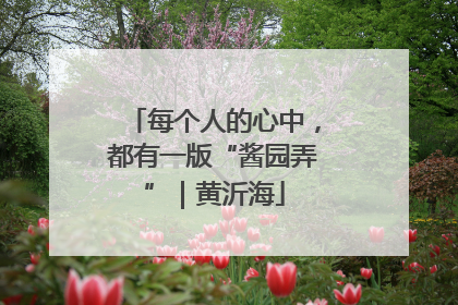 每个人的心中，都有一版“酱园弄”｜黄沂海