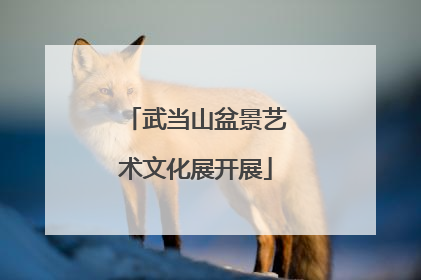 武当山盆景艺术文化展开展
