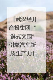武汉经开产投集团“链式突围”引燃汽车新质生产力