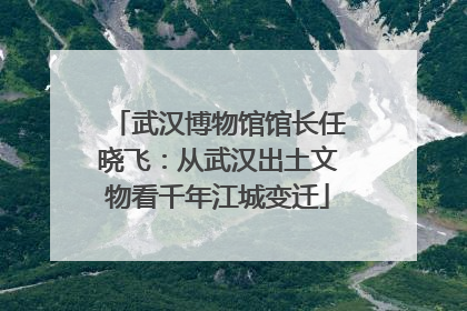 武汉博物馆馆长任晓飞：从武汉出土文物看千年江城变迁